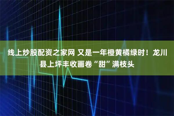 线上炒股配资之家网 又是一年橙黄橘绿时！龙川县上坪丰收画卷“甜”满枝头