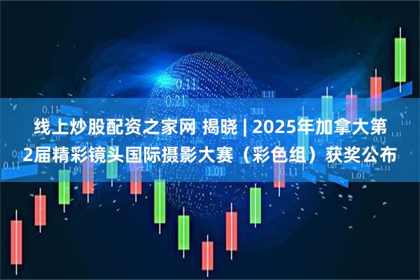 线上炒股配资之家网 揭晓 | 2025年加拿大第2届精彩镜头国际摄影大赛(彩色组)获奖公布