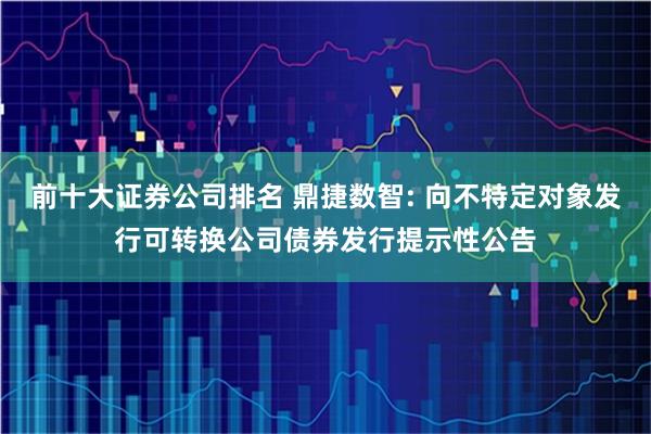 前十大证券公司排名 鼎捷数智: 向不特定对象发行可转换公司债券发行提示性公告